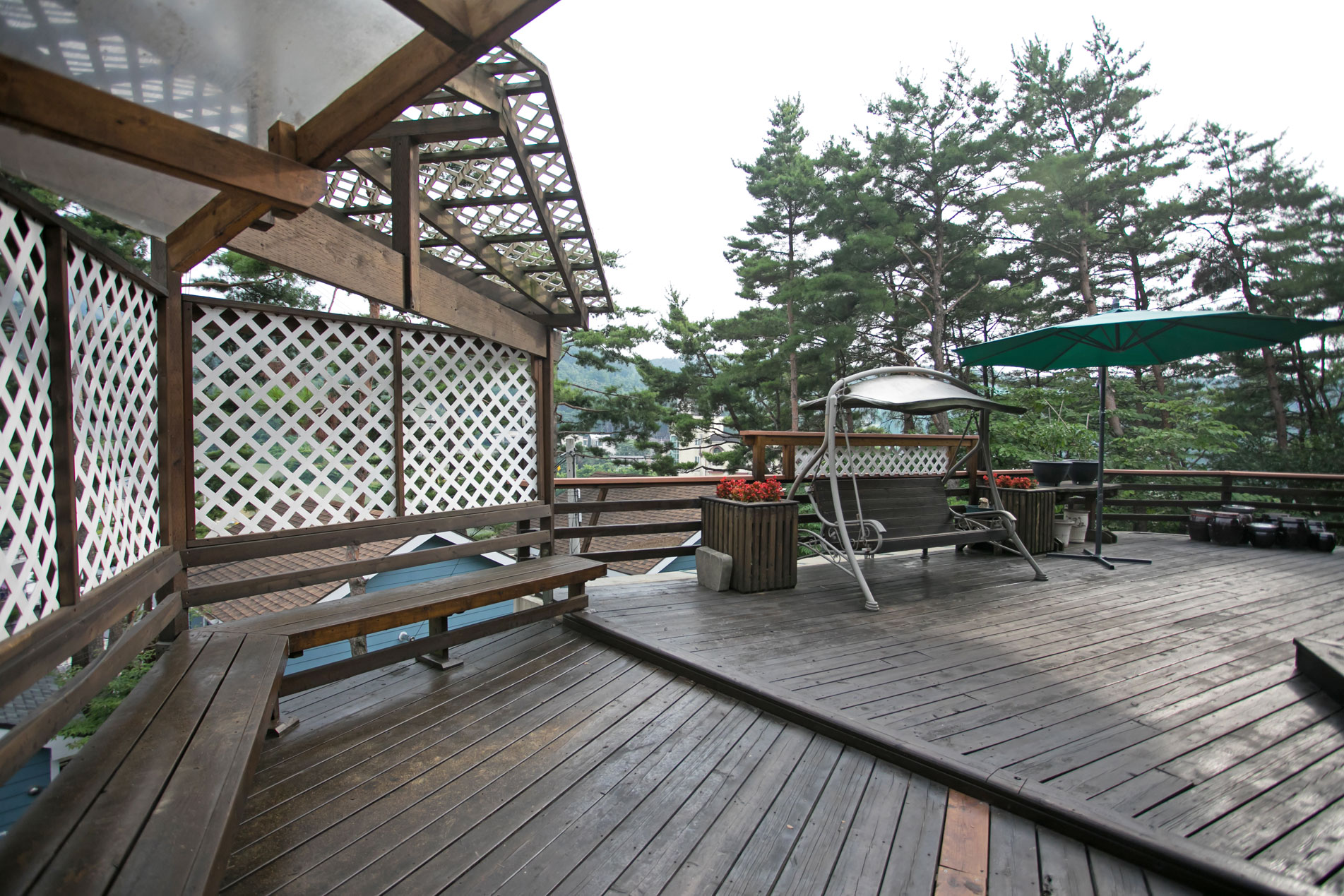 view19