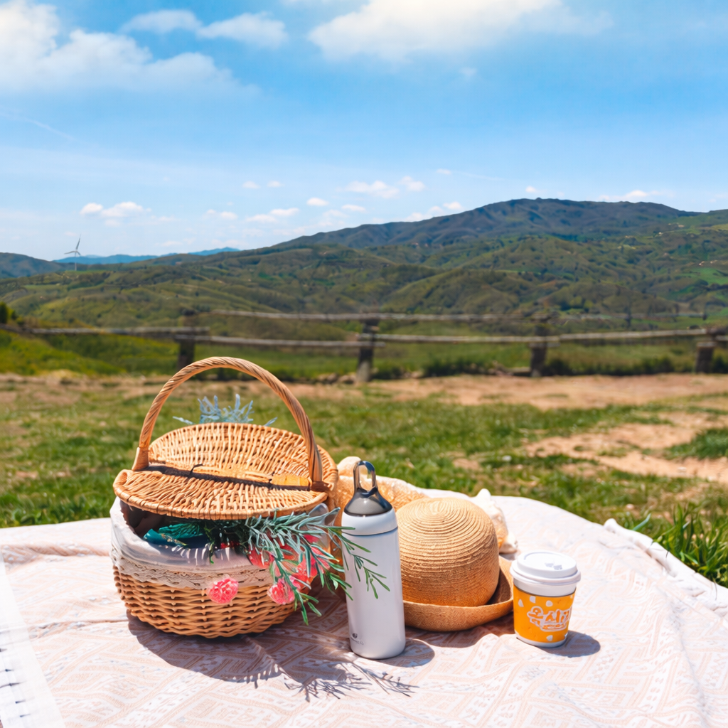 삼양라운드힐 피크닉