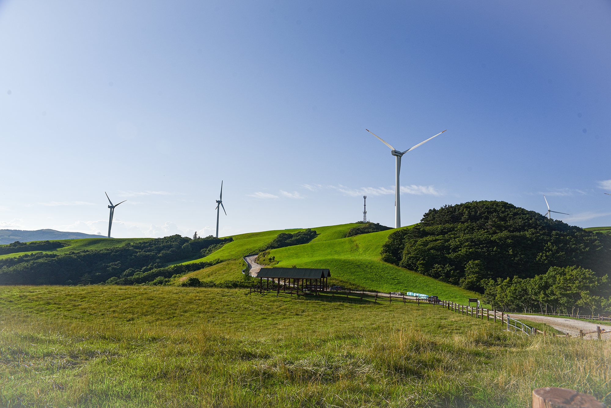 삼양라운드힐과 엘림커피 패키지 대표 이미지