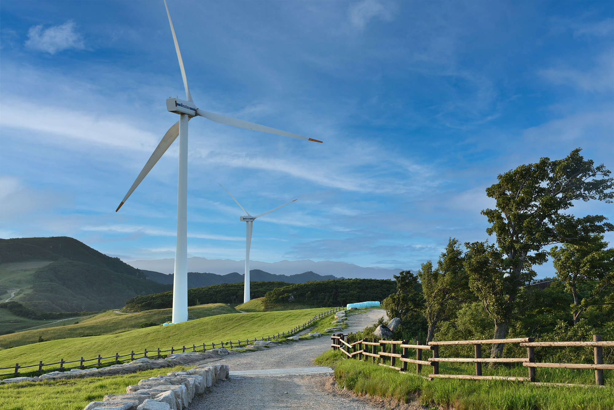 삼양라운드힐 전망 포인트