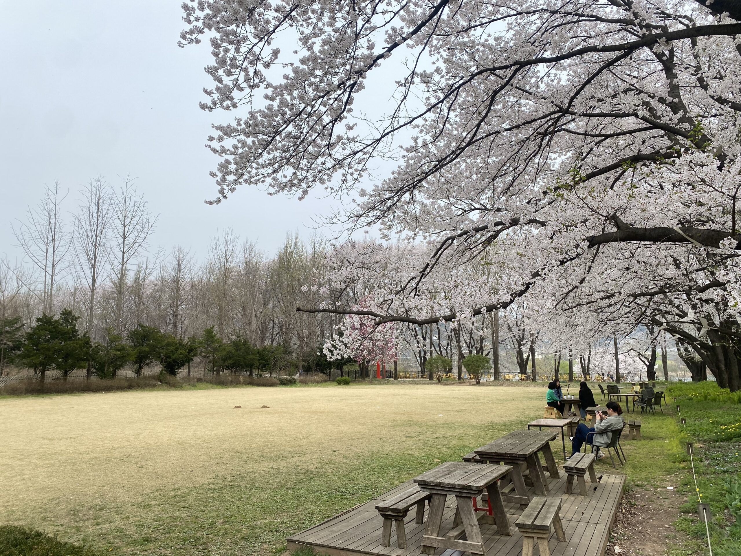 봄파머스가든 사계절 정원 또는 은행나무길