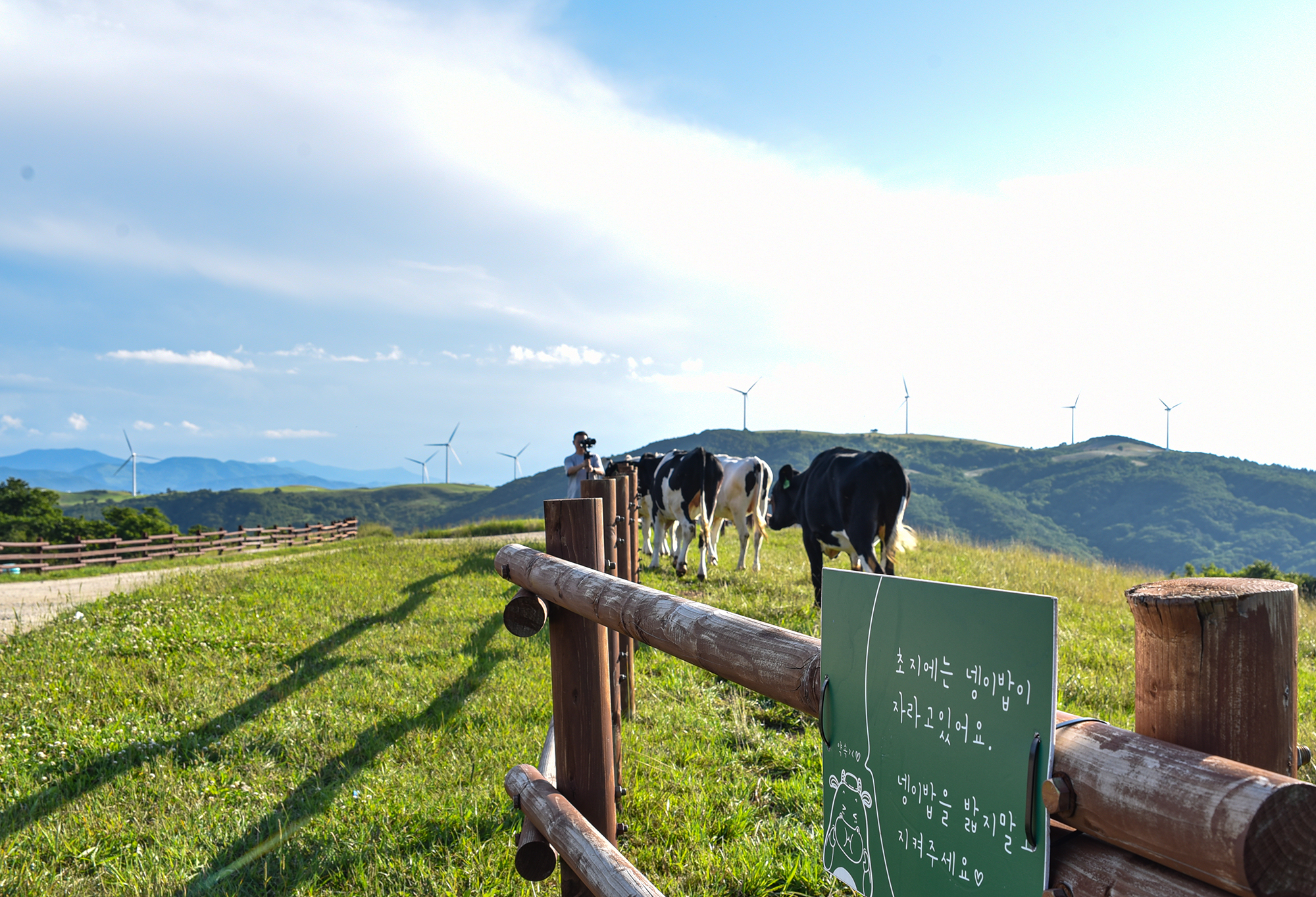 엘림커피 카페 분위기