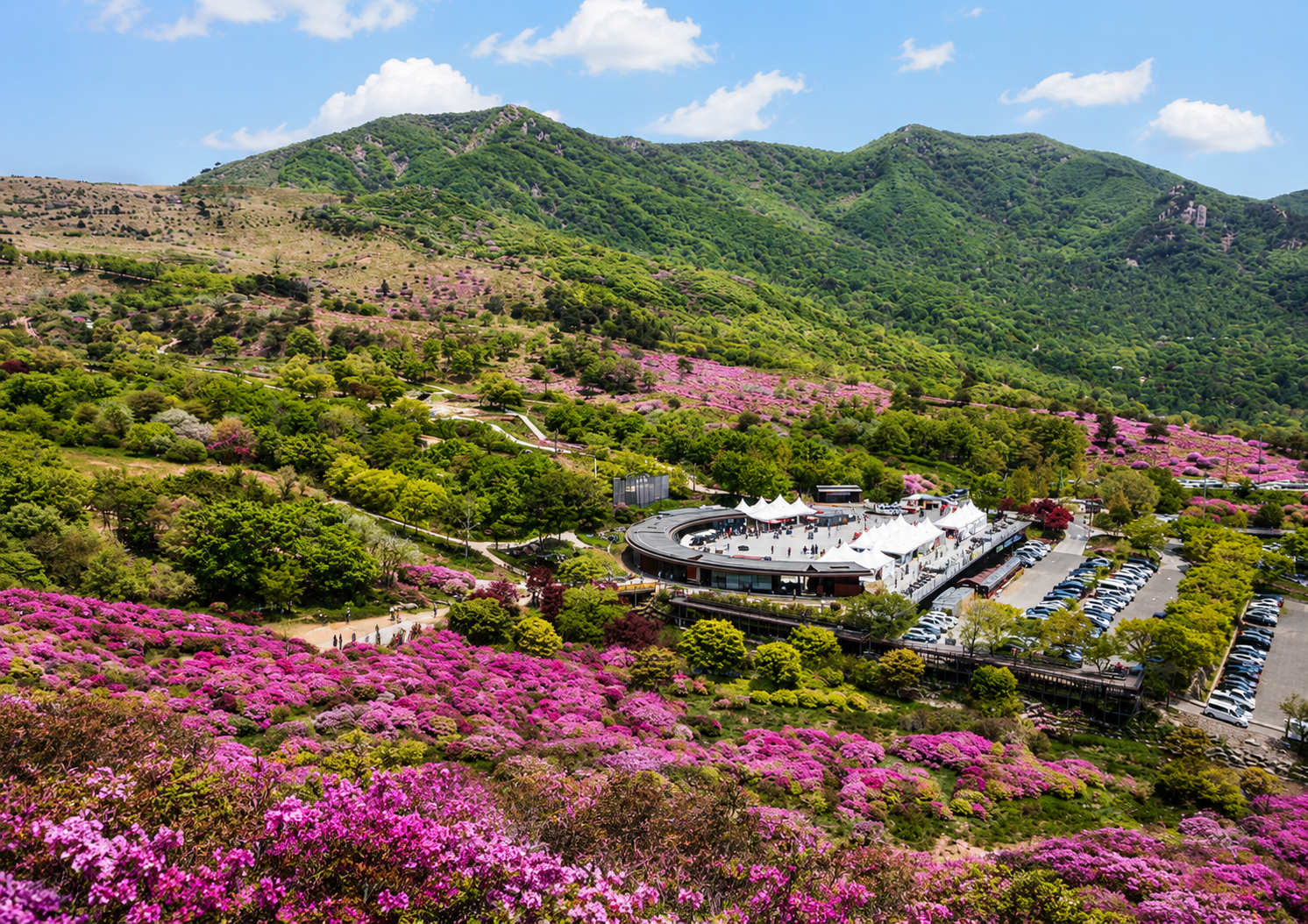 합천 황매산 철쭉 군락지 봄 여행