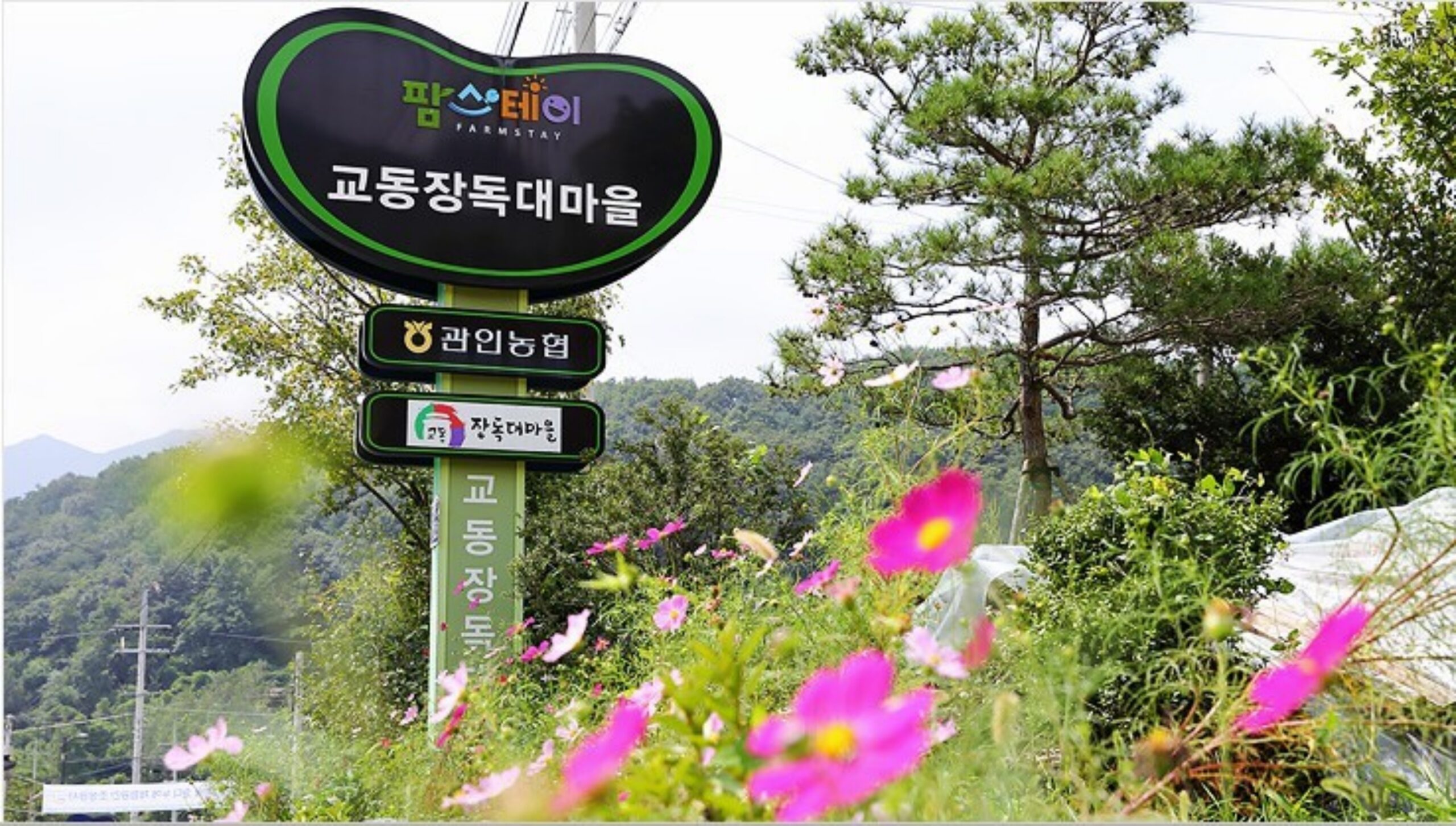 포천 커플 체험 교동장독대마을 우리쌀클레이 만들기