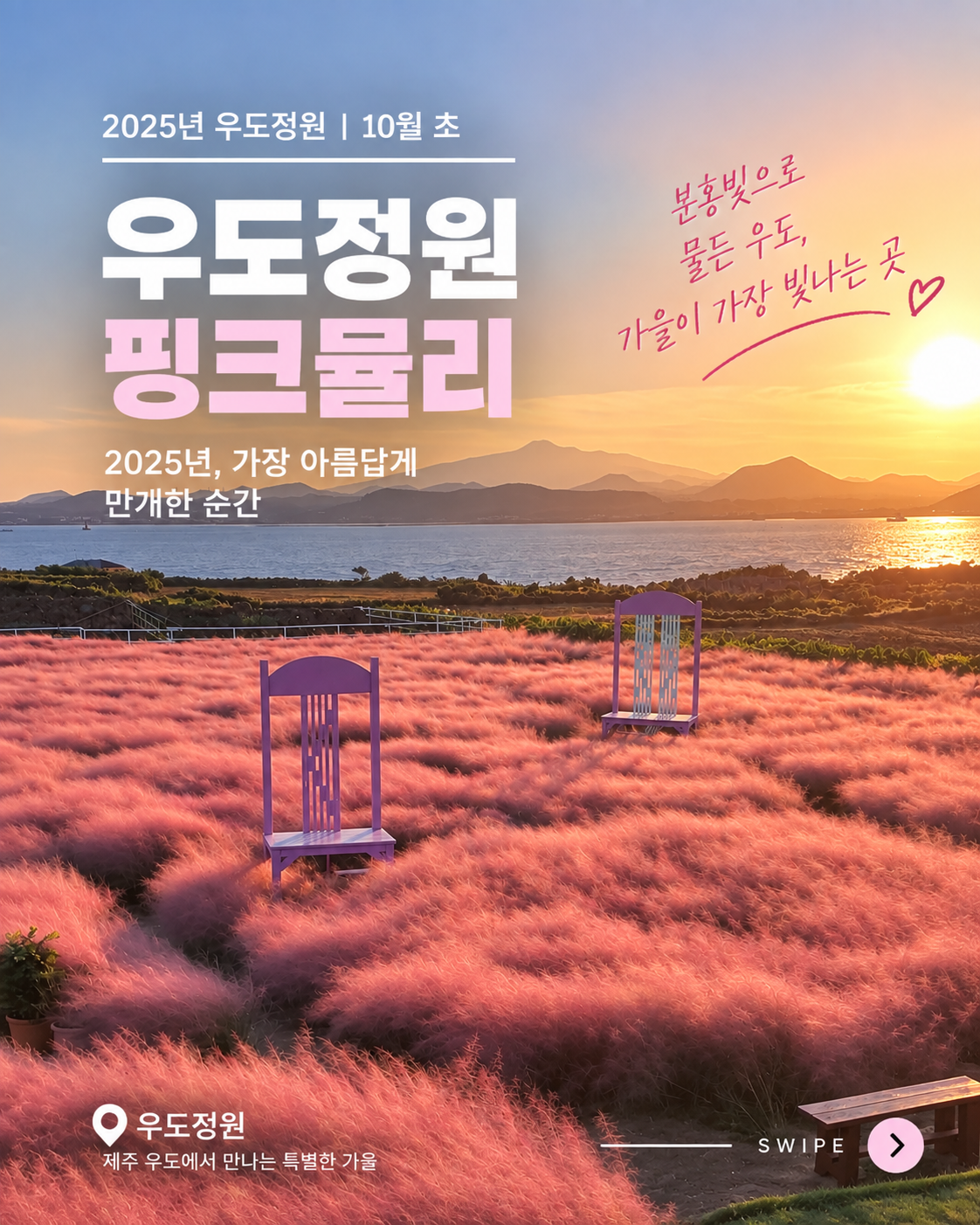제주 우도정원 핑크뮬리와 바다가 함께 보이는 계절정원