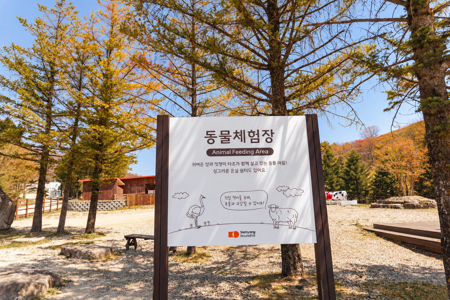 삼양라운드힐 동물체험장 안내