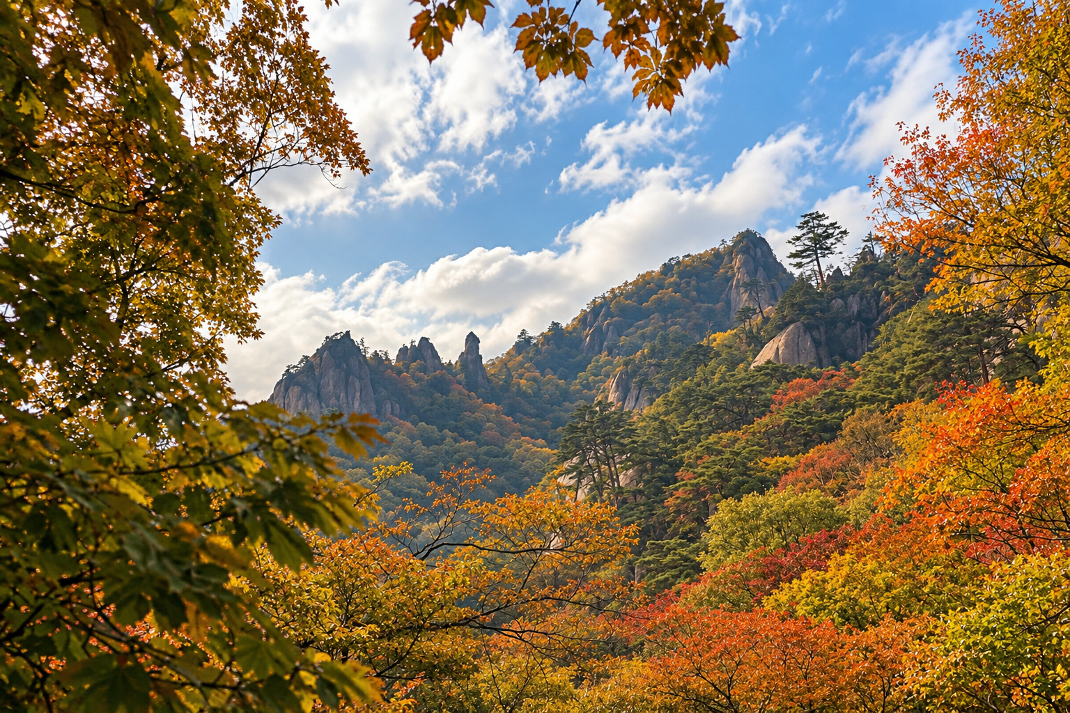 설악산 오색 주전골 단풍으로 물든 산악 계곡과 바위 봉우리